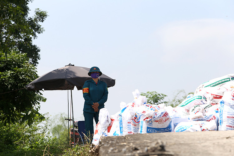 Sụt lún nghiêm trọng tại nhiều điểm đê ở Hà Nội - Hình 6 Sut lun nghiem trong tai nhieu diem de o Ha Noi-Hinh-6