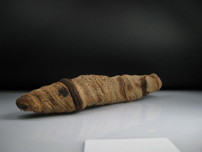 Sau đó, nhóm nghiên cứu cẩn thận đưa xác ướp về phòng thí nghiệm và tiến hành một số kiểm tra nhằm giải mã bí ẩn về nó.