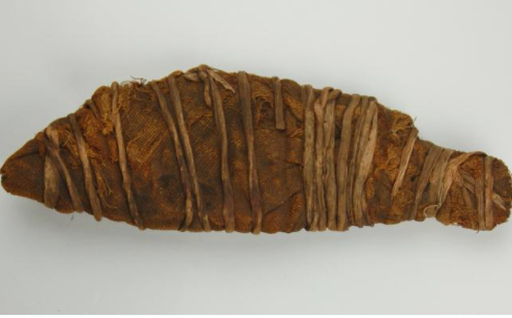 Vào năm 1906, các chuyên gia tại Viện Khảo cổ thuộc Đại học Liverpool khai quật được một xác ướp "mini" dài 28 cm tại thành phố Esna, Ai Cập.