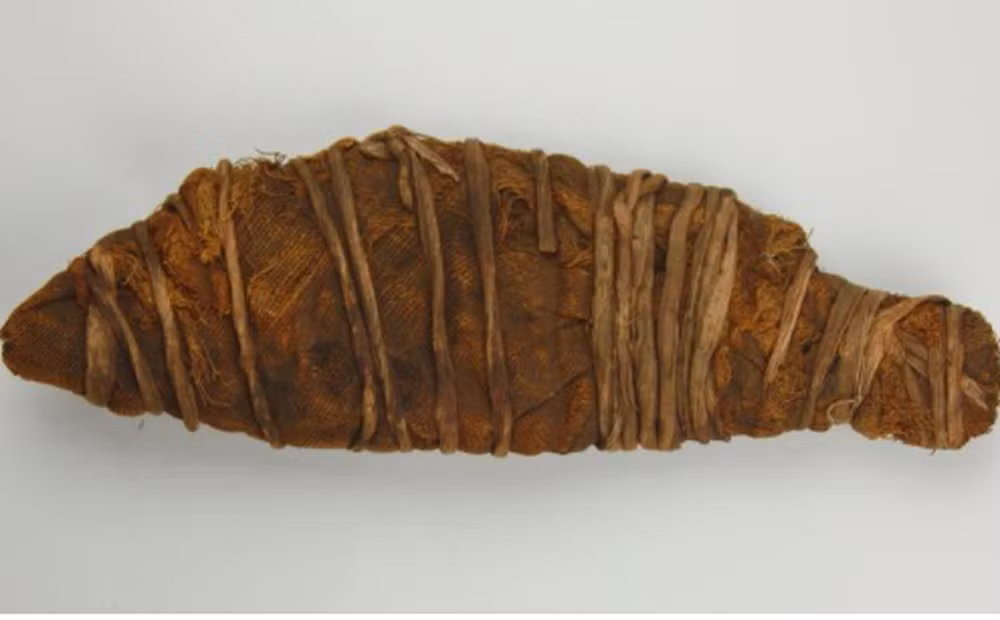 Vào năm 1906, các chuyên gia tại Viện Khảo cổ thuộc Đại học Liverpool khai quật được một xác ướp "mini" dài 28 cm tại thành phố Esna, Ai Cập.