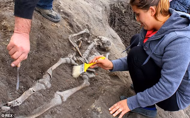 Các chuyên gia cũng tìm được những thi hài ma cà rồng bị xuyên thủng vùng ngực bởi một cái lưỡi cày hay hài cốt bị buộc chặt xuống đất bởi 4 cái kẹp sắt và than cháy rải ở trên đỉnh ngôi mộ.