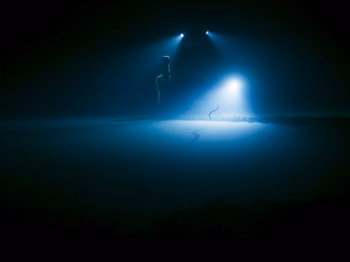 Ở dưới đáy vực thẳm Challenger, áp suất nước khoảng 1.086 bar (1.071 atm) gấp 1.000 lần so với áp suất khí quyển tiêu chuẩn ở mặt nước biển. Nhiệt độ đáy rãnh khoảng 1 - 4 độ C.