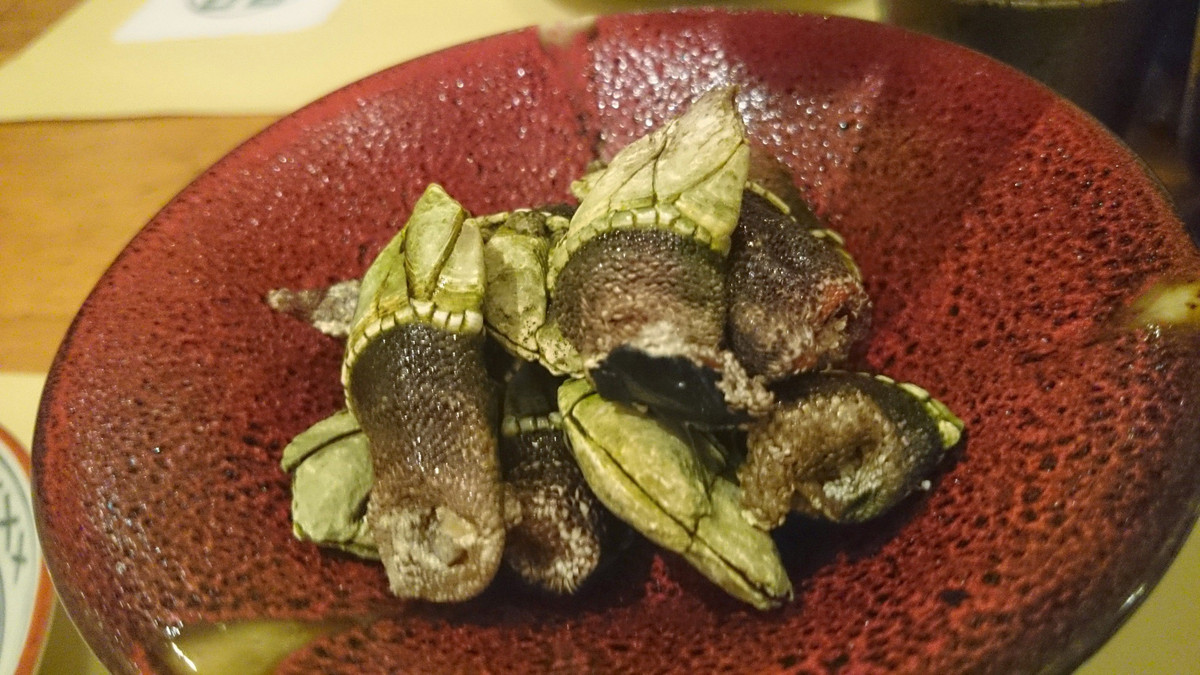 Để bắt được ốc chân rùa, ngư dân phải tuân thủ nghiêm ngặt các quy tắc về thời tiết, thủy triều nhằm tránh rủi ro, đảm bảo an toàn tính mạng.