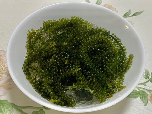 Rong nho rất giàu giá trị dinh dưỡng và gây chú ý với hình dáng giống chùm nho. Nó còn được mệnh danh là trứng cá muối xanh.