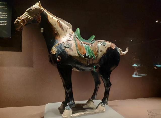 Khi tiến vào bên trong, một số người giật mình sợ hãi và bỏ chạy vì nhìn thấy "quái vật". Tuy nhiên, khi bình tĩnh lại, nhóm chuyên gia tiến gần "quái vật" và quan sát xem đó thực chất là gì.