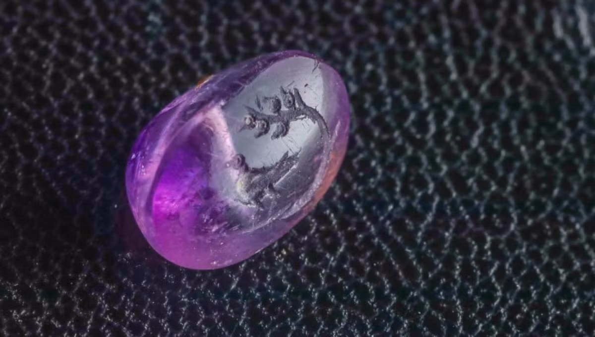 Những hình chạm khắc trên viên đá thạch anh tím tử đinh hương khiến bảo vật trở nên độc lạ và hiếm có. Giới nghiên cứu cho rằng, báu vật này có thể là bức mô tả đầu tiên được phát hiện trên toàn thế giới có khắc loài thực vật nổi tiếng.