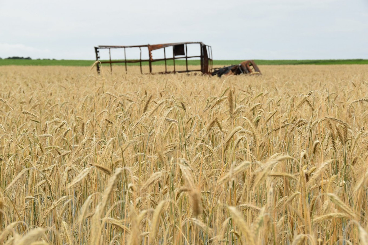 Từ Azerbaijan cho tới Ukraine, người ta có thể dễ dàng nhận ra rằng, xe tăng hay thiết giáp ngày nay, rất dễ bị khắc chế trên chiến trường, bằng nhiều loại vũ khí rẻ tiền hơn.