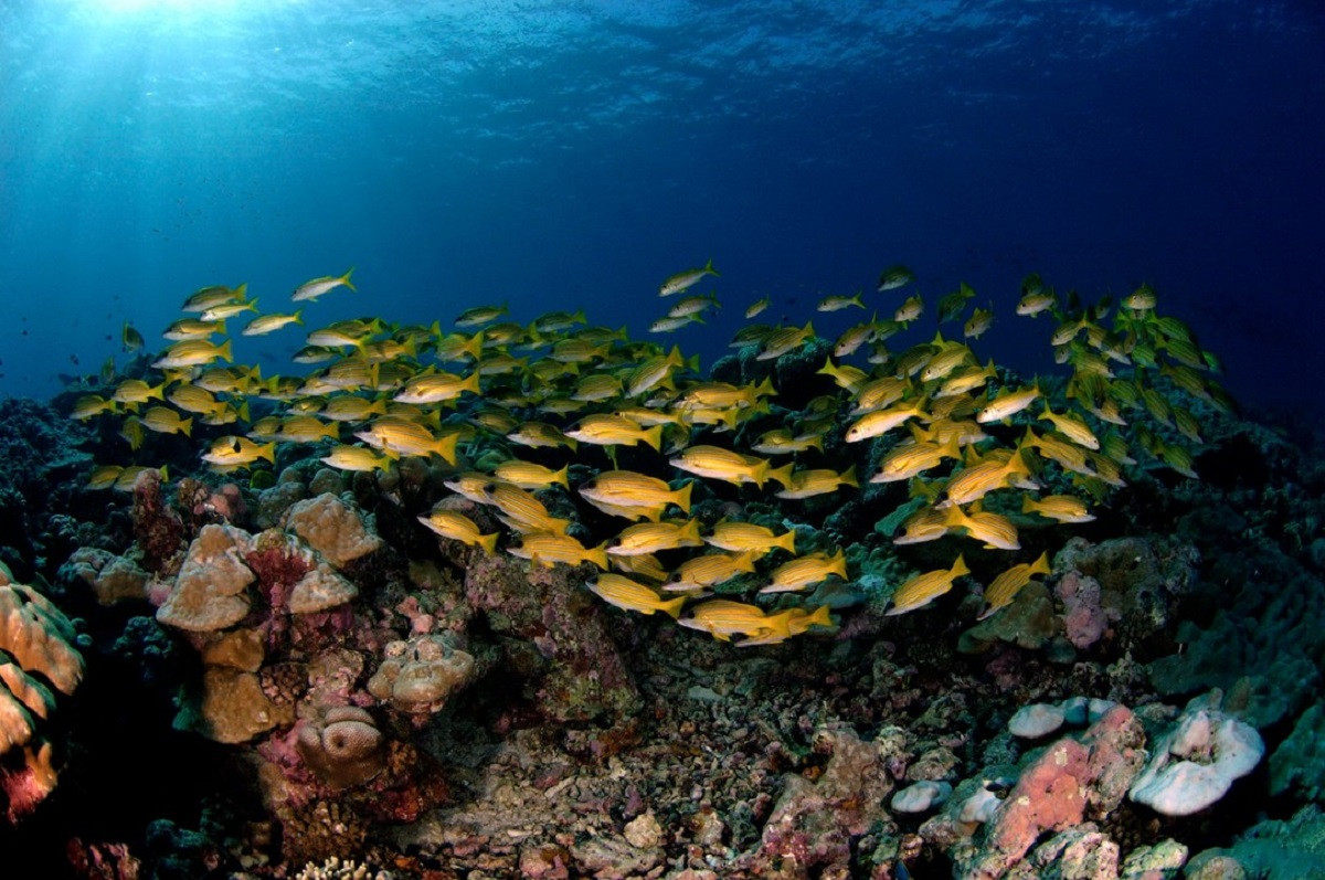 'Lac troi' den 5 dao san ho tuyet nhat the gioi-Hinh-14