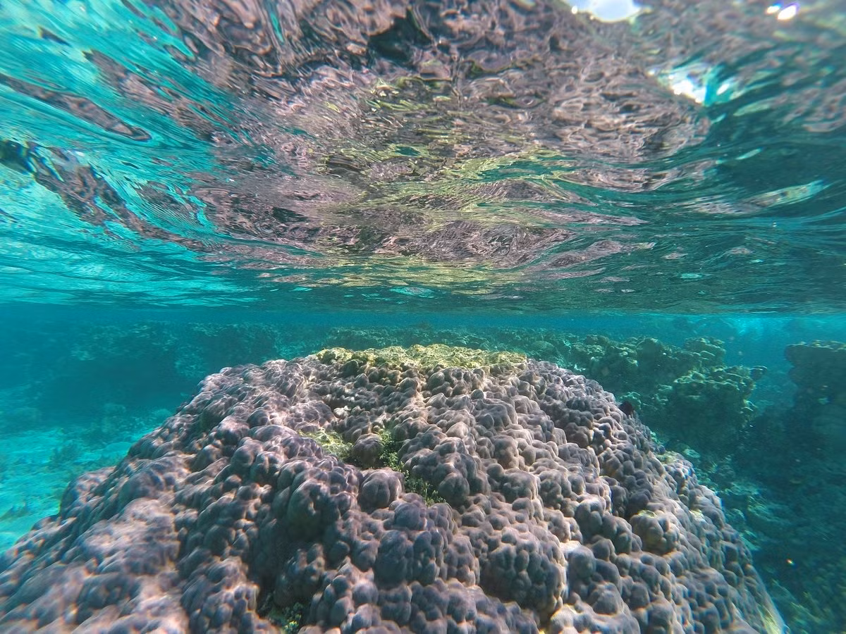 'Lac troi' den 5 dao san ho tuyet nhat the gioi-Hinh-13