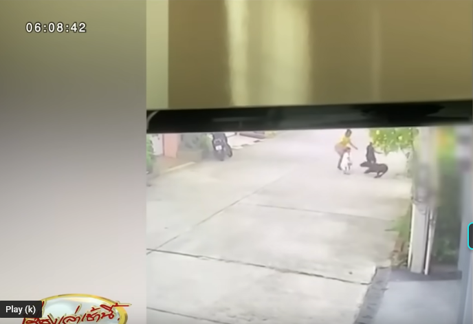 Be trai khau hon 200 mui vi bi cho du tan cong