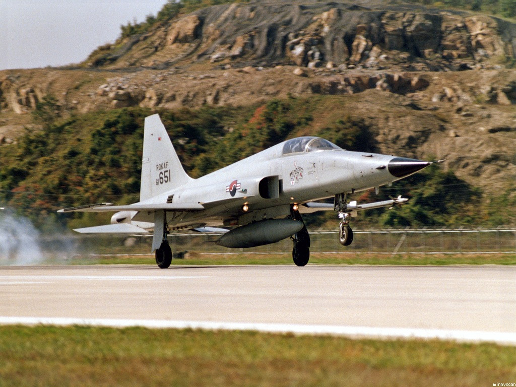 F-5E là loại tiêm kích ra đời từ khá lâu, từng được Mỹ sử dụng khi tham chiến tại Việt Nam. Mặc dù trong quá khứ loại chiến đấu cơ này đã có thời gian bị "thất sủng", tuy nhiên càng ngày, càng có nhiều quốc gia đưa F-5E vào sử dụng trong lực lượng không quân nòng cốt.
