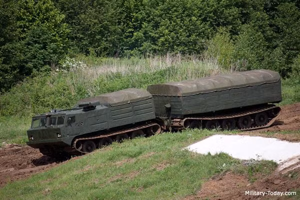 DT-30 có cấu hình khớp nối chạy trên bánh xích (mặc dù thiết kế ban đầu của nó chỉ gồm một phần duy nhất), phiên bản DT-30PM bao gồm 2 khoang chở hàng, chiếc xe địa hình này có trọng lượng 30 tấn và mang tải trọng tối đa 30 tấn.