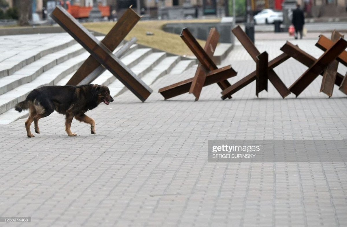 Trong khi đó, bên trong thành phố Kiev của Ukraine, hàng loạt các chướng ngại vật chống tăng, cùng lô cốt chiến đấu, đã được bố trí tại những nút giao thông huyết mạch.
