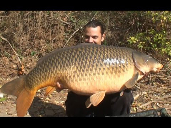 2. Cá quá lớn: Cá có kích thước lớn nhìn hấp dẫn nhưng không thích hợp ăn nhiều. So với những con cá trưởng thành kích thước vừa phải, thịt của chúng thường không ngon, đậm vị bằng. Ảnh minh họa.