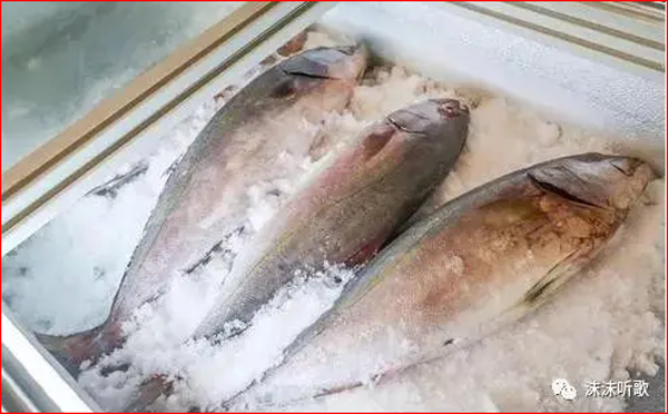 Để bảo quản cá, không ít cơ sở sử dụng chất formaldehyde. Chất này thường được sử dụng như một chất bảo quản thực phẩm. Tiếp xúc nhiều với formaldehyde không có lợi, dễ khiến cơ thể đối diện với tình trạng kích ứng da, mắt, mũi, ảnh hưởng đến bào thai, tăng nguy cơ mắc các bệnh viêm mũi họng... Ảnh: Sohu.