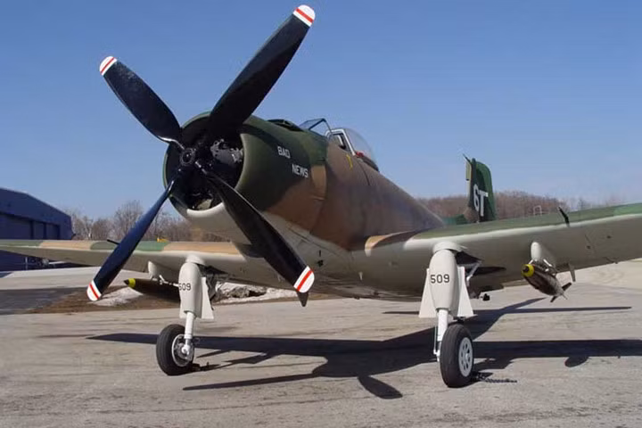 AD-1 được coi là một trong các máy bay tấn công mặt đất hiệu quả nhất từng được chế tạo. Ảnh: Henning.