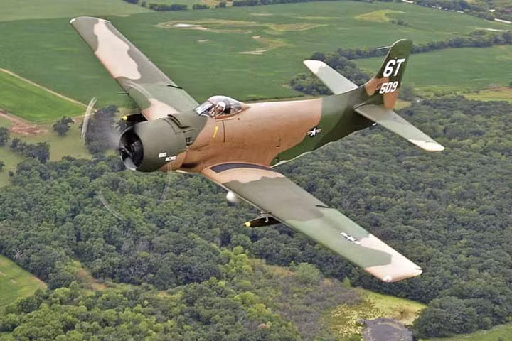 Con chim sắt này đã được phục chế để có thể hoạt động bình thường. Người ta đặt biệt danh cho nó là “Bad News”, nghĩa là “Tin Xấu”. Ảnh: Henning.