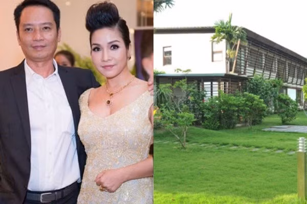 Trước đó, nhiều sao Việt khác như Mỹ Linh, Quyền Linh, Nguyên Vũ... cũng đã từng bị trộm viếng nhà và lấy cắp rất nhiều tài sản có giá trị. Điển hình là vụ trộm đột nhập biệt thự gia đình ca sĩ Mỹ Linh tại khu vực xã Minh Phú, huyện Sóc Sơn (Hà Nội), lấy đi nhiều tài sản có giá trị. 