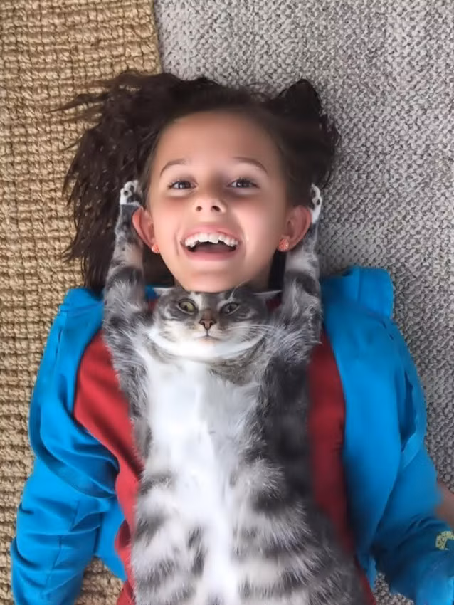 Con mèo này đã cố gắng để có thể dễ thương như cô chủ của mình, nhưng nó đã thất bại thảm hại.