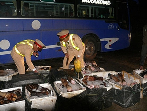 Hon nua tan chan trau bo boc mui hoi thoi bi bat giu