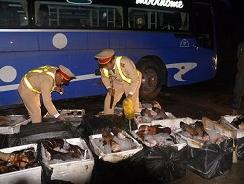 Hon nua tan chan trau bo boc mui hoi thoi bi bat giu