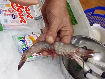 Hai hung chieu tro bien thuc pham ban thanh sach nam 2015