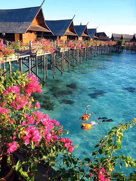 Khu du lịch đẹp đến mơ màng ở Tahiti với nắng vàng, biển xanh, cát trắng.