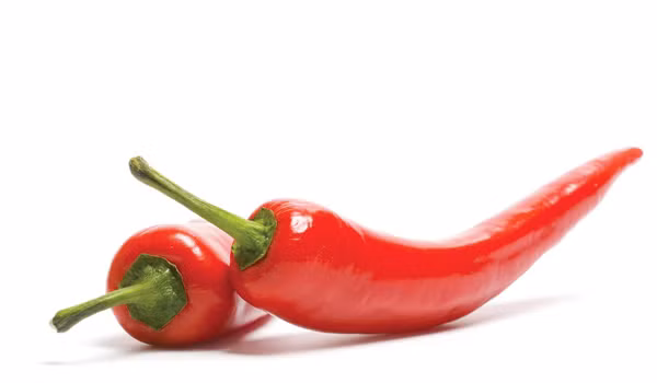 Ớt. Các thức ăn nóng tốt nhất giúp đốt cháy chất béo trên vòng eo là ớt. Các chuyên gia nói rằng bạn nên tiêu thụ một số lượng tốt của các loại thực phẩm và ấm nóng trong mùa đông, để giảm cân một cách tự nhiên.