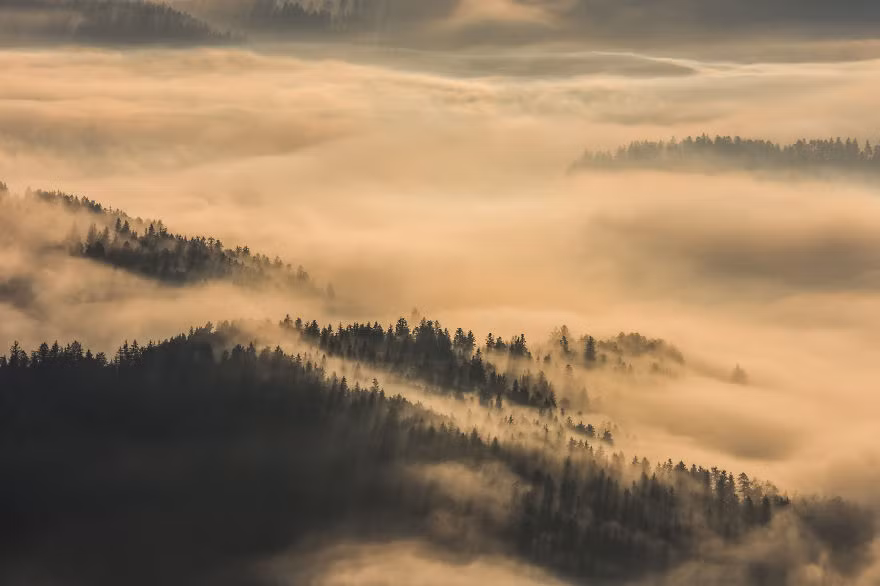 Là một người yêu thích thiên nhiên thực sự, nhiếp ảnh gia Filip Eremita thường đi dạo trong những khu rừng rộng lớn, cắm trại qua đêm trên những đỉnh núi và chờ đợi khoảnh khắc tuyệt vời nhất để chụp lại.