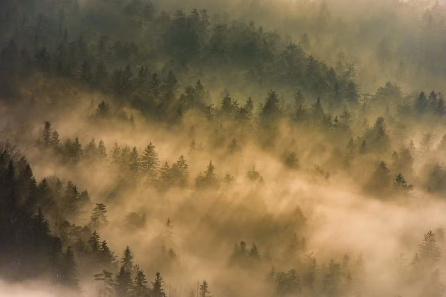 Có lẽ cũng chính vì vậy mà những tác phẩm nhiếp ảnh của Filip Eremita khiến người xem như lạc vào chốn thần tiên, không có thực.