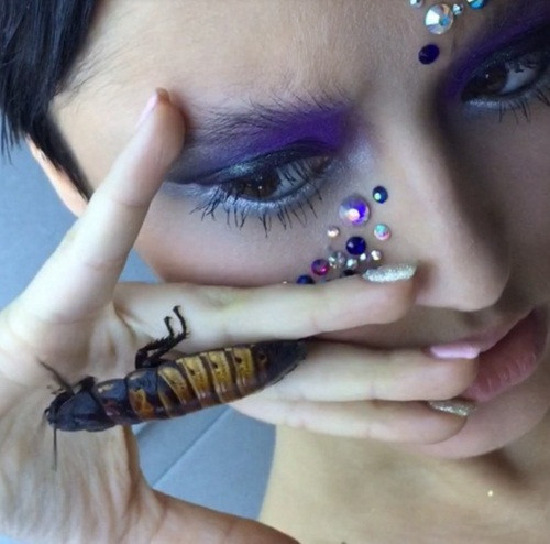 Khi chụp ảnh những con bọ được thả, bò xung quanh khuôn mặt người mẫu được Elya trang điểm, tạo nên hiệu ứng đặc biệt. Tuy nhiên, chắc hẳn không nhiều người mẫu thích thú với những màn hóa trang có phần kinh dị này.