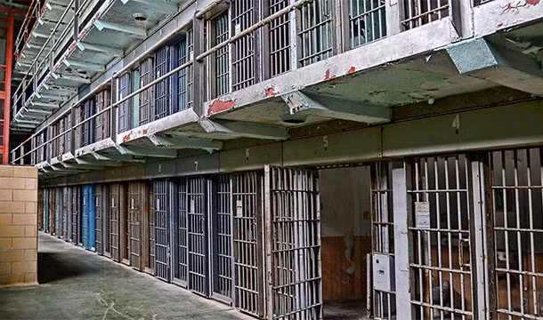 4. Nhà tù tiểu bang Indiana cho phép các tù nhân nuôi một con mèo. Việc này được cho là có thể giúp cải thiện tâm trạng của các tù nhân.