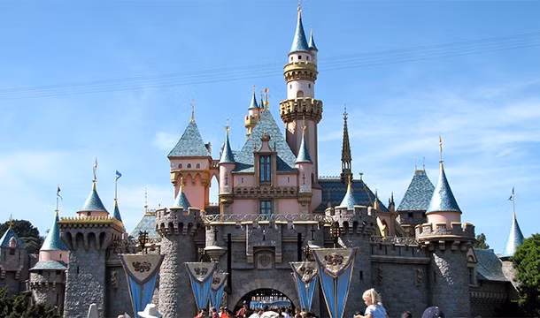 1. Một trong những điều thú vị bạn chưa biết về loài mèo là vào ban đêm, những công viên chủ đề Disneyland sẽ bị kiểm soát hoàn toàn bởi loài mèo. Chúng không phải những tên trộm khét tiếng mà những công viên này nuôi số lượng lớn mèo để săn bắt những loài gặm nhấm, phá hoại.