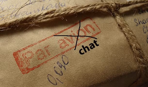 12. Năm 1879, Bỉ đã đưa vào sử dụng những nhân viên mèo bưu tá nhưng không thành công.