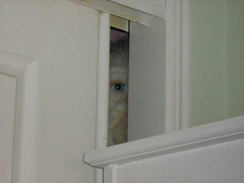 Gặp một cảnh tượng như thế này, chắc chắn không ít người chỉ muốn mình bị "đông cứng" để không phải trải qua những giây phút hồn vía lên mây.