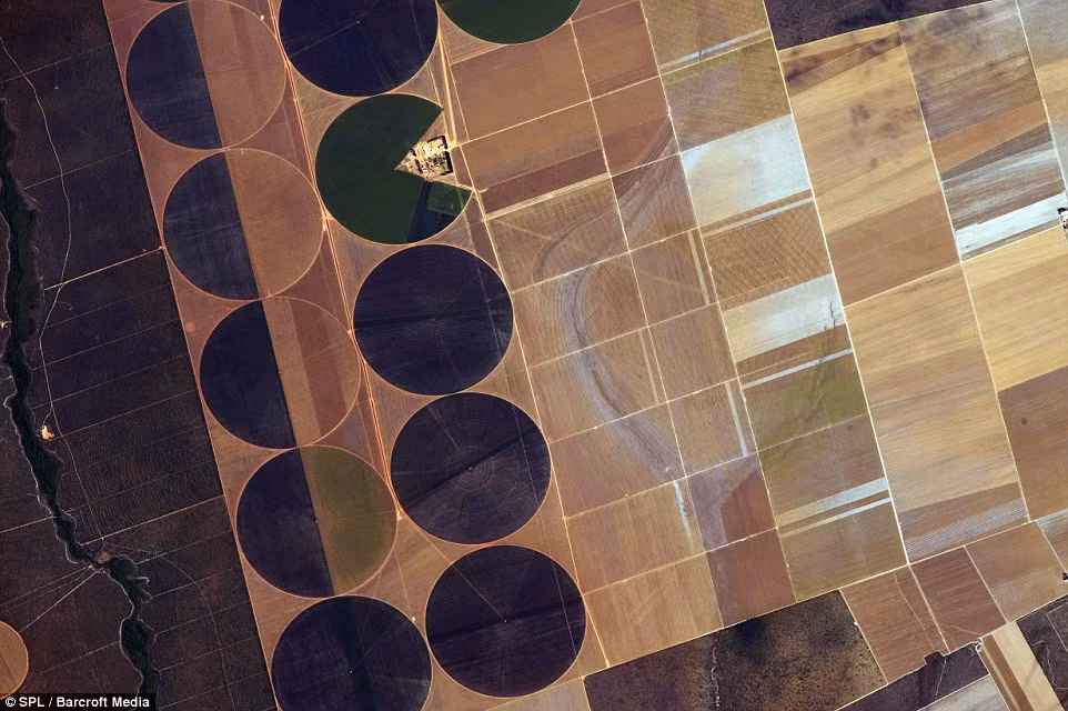 Cảnh quan ở khu chuyên canh Bahia State, Brazil khiến các phi hành gia vô cùng ấn tượng khi nhìn từ không gian.