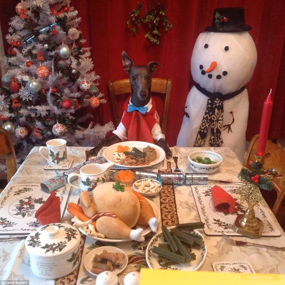 Thông qua những hình ảnh đặc sắc của mình, chú chó đáng yêu này đã quyên góp được 2000 bảng Anh cho quỹ từ thiện.