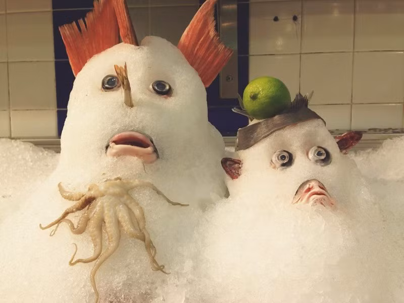 Tất cả người mua đều giật mình khi thấy những quái vật tuyết này trong một cửa hàng tạp hóa, khu vực hải sản.