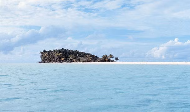 Một thủy thủ có tên là Alexander Selkirk đã sống sót sau 4 năm trên một hòn đảo hoang nhờ một con mèo hoang dã. Nó đã bảo vệ chàng thủy thủ khỏi những con chuột khổng lồ, hung dữ.