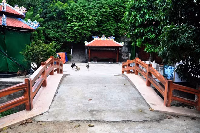 Ông Quang phải hoàn thành tháo dỡ công trình trước 31/1/2016. Ảnh: Đ.Nguyên.