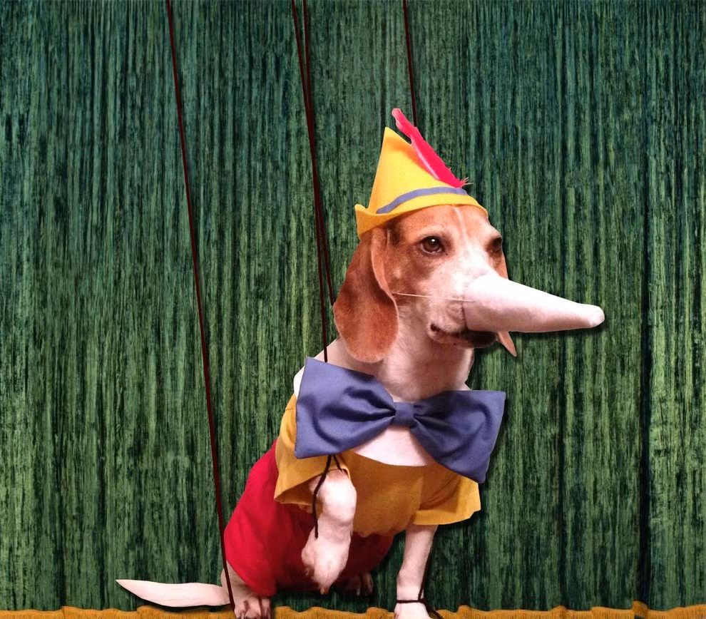 Cooper hóa thân thành một loạt các nhân vật hoạt hình tiêu biểu của Disney rất đáng yêu và ngộ nghĩnh. Trong ảnh là Cooper trong hình dáng của cậu bé người gỗ Piochino.