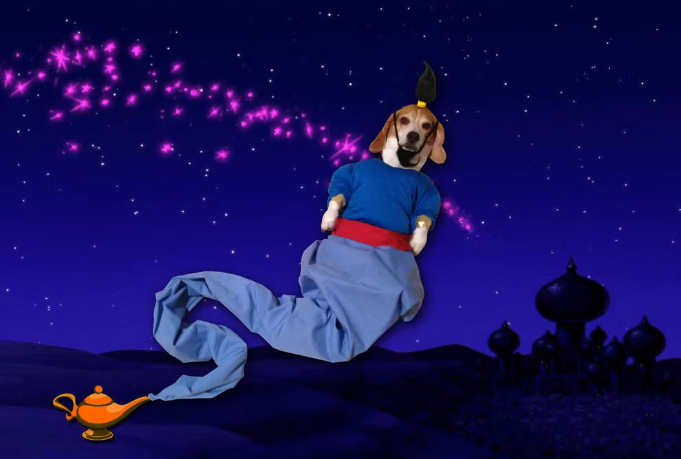 Thần đèn Cooper sẽ mang lại những điều ước tốt đẹp cho những ai may mắn nhận được cuốn lịch.