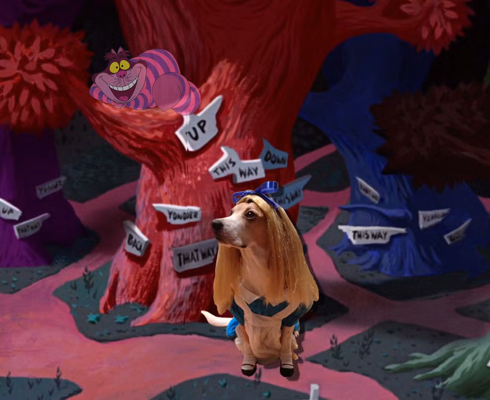 Vì những hình ảnh về Cooper quá dễ thương, hai mẹ con cô Becky đã quyết định đăng những hình ảnh này lên trang Reddit. Không ngoài dự đoán, Cooper đã trở thành một hiện tượng mạng, một ngôi sao động vật mới nổi.