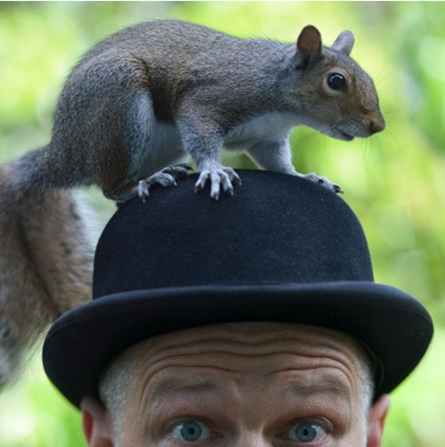 Nhiếp ảnh gia đã biến những con sóc bình thường sống trong sân sau của mình tham gia vào cuộc phiêu lưu để đời của chúng qua những bức ảnh sống động và chân thực.