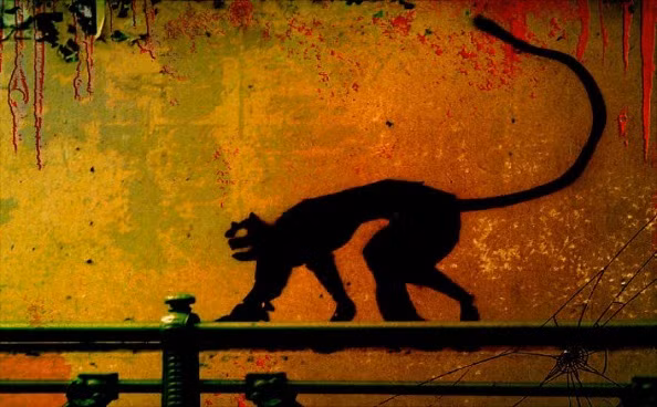 Cũng bởi lý do đó mà người dân Iceland luôn khuyên bảo nhau nên làm việc chăm chỉ trước kỳ nghỉ lễ để họ có thể đủ khả năng, đủ tiền để đồ mới để tặng quà cho người thân, bạn bè của họ. Bằng cách này, sẽ không có ai bị ăn thịt bởi quái vật mèo Yule.