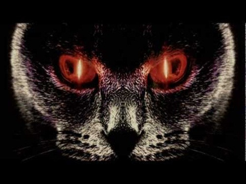 Người ta tin rằng cách duy nhất để thỏa mãn con quái thú khổng lồ này là cho nó thấy bạn đang mặc áo len mới, tất mới, quần, áo khoác mới, hy vọng nó sẽ bỏ qua.