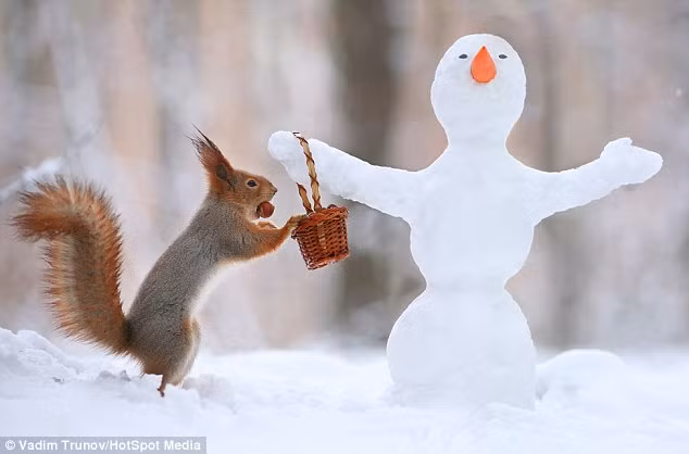 Ăn uống xong, chúng vừa chơi đùa với người tuyết, vừa tranh thủ chuẩn bị hạt giống lương thực trong những ngày mừng năm mới.