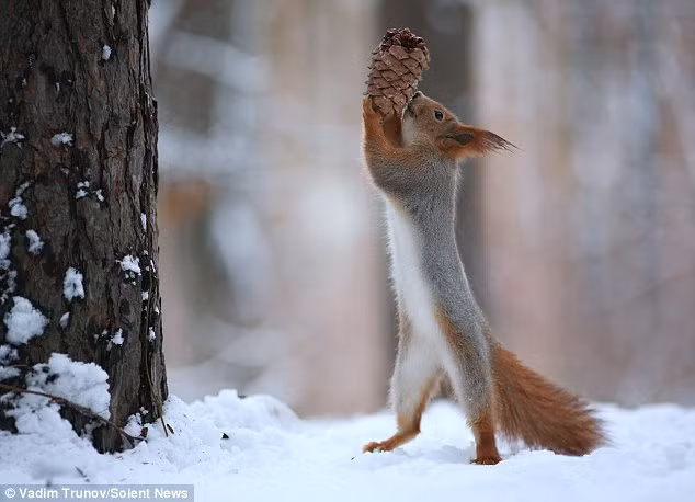 Cũng là dịp lễ nên món quà càng có ý nghĩa hơn, mang đậm tinh thần chia sẻ là niềm vui, là hạnh phúc.
