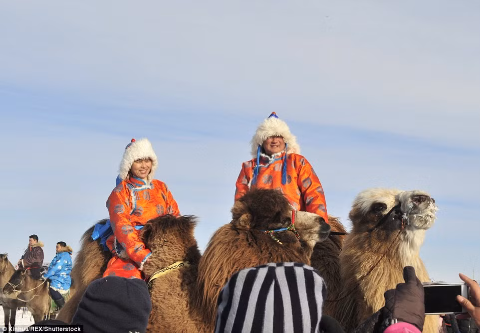 Xem thêm một số hình ảnh độc đáo khác về lễ hội lạc đà độc đáo ở Mông Cổ.