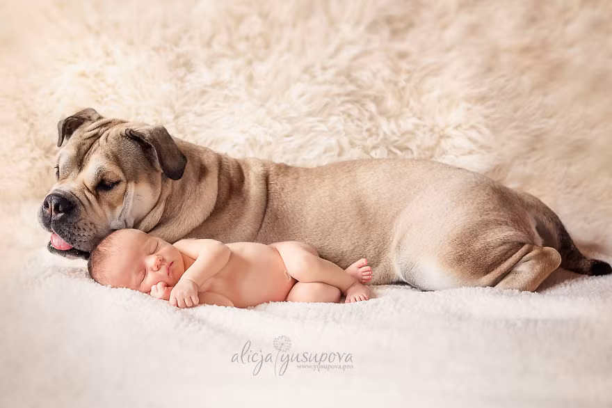 Có thể giao tiếp qua ánh mắt, qua tiếp xúc, động chạm hoặc cử chỉ.